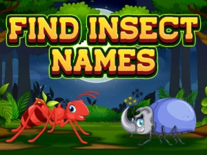 Find Insect Names - Play Free Online HTML5 Browser Game on TapToRun