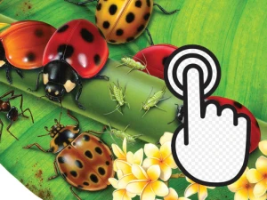 Ladybug Clicker - Play Free Clicker Browser Game Online Instantly