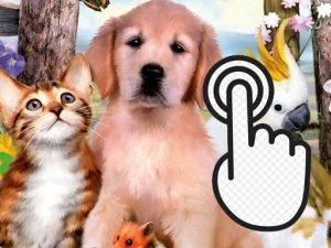 Pets Clicker - Play Free Clicker Browser Game Online Instantly