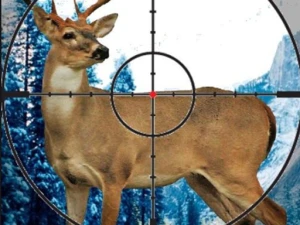 Stag Hunter - Play Free Online HTML5 Browser Game on TapToRun
