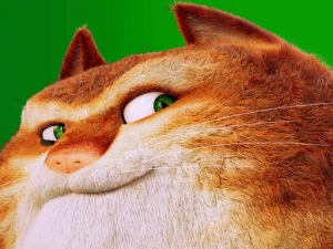 The Amazing Maurice Card Match - Play Free Puzzle Browser Game Online Instantly