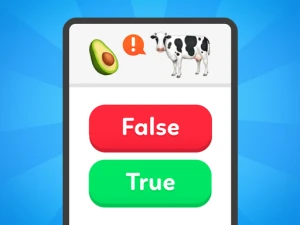 True False - Quiz - Play Free Puzzle Browser Game Online Instantly