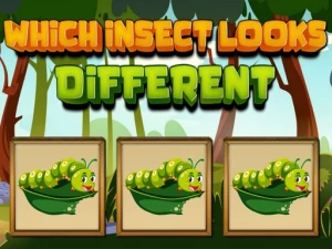 Which Insect Looks Different - Play Free Online HTML5 Browser Game on TapToRun